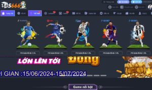 Cá cược thể thao s666 rất đa dạng.